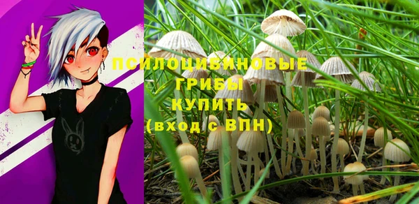 тгк Касимов