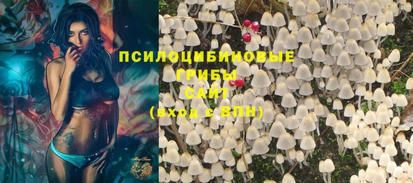 тгк Касимов