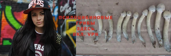 тгк Касимов