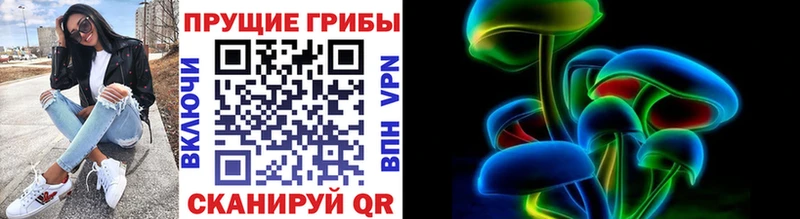 закладки  omg сайт  Псилоцибиновые грибы Psilocybe  Новотитаровская 